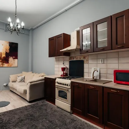 Cozy Center Flat W Netflix Apartmán Kluž