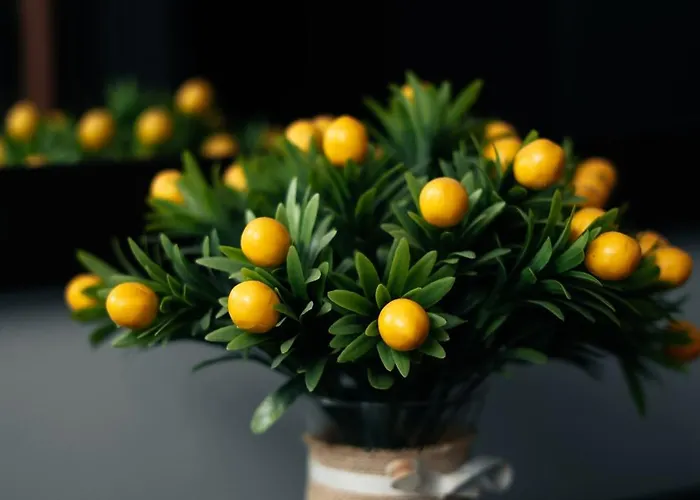 Appartement Cozy Center Flat W Netflix *